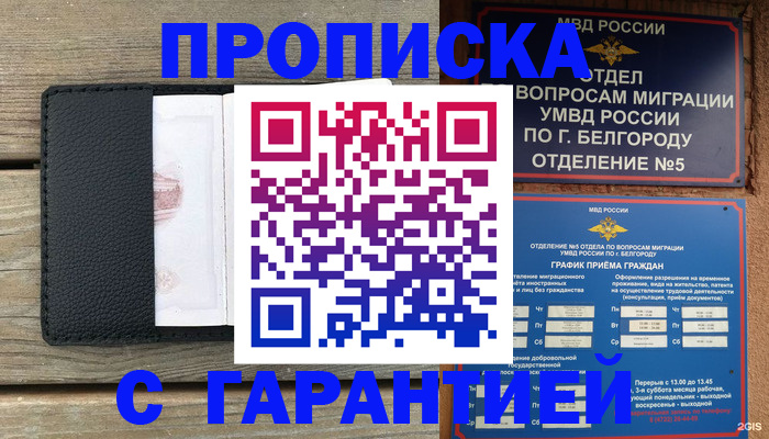 временная регистрация для всех в Гатчине